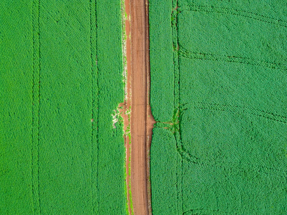 Lavoura vista de cima representando o mercado atendido por um site para agronegócio